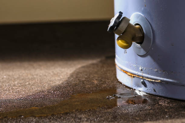 Best Flooded house restoration  in Bellevue, WI