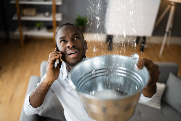 Best Water damage contractors near me  in Bellevue, WI