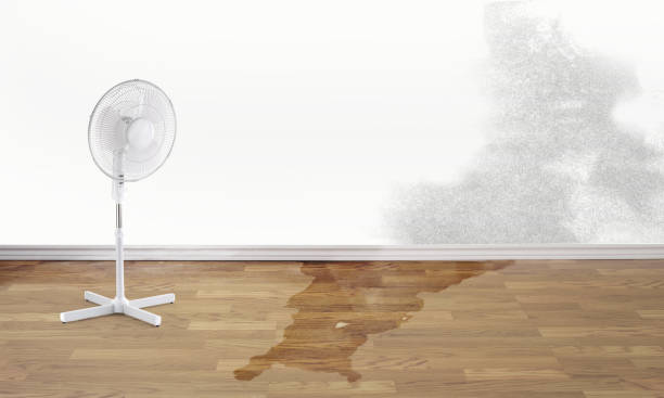Best Water damage restoration company  in Bellevue, WI