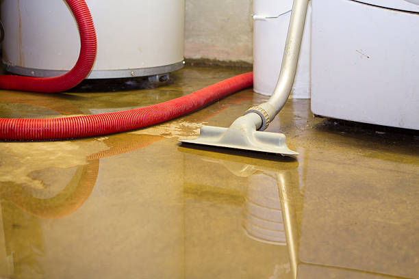 Best Residential water damage restoration  in Bellevue, WI