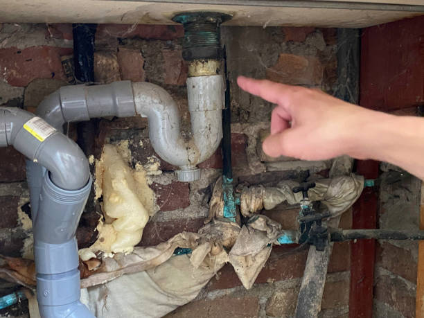 Best Emergency water extraction  in Bellevue, WI