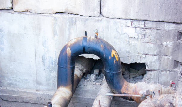 Best Mold removal after water damage  in Bellevue, WI