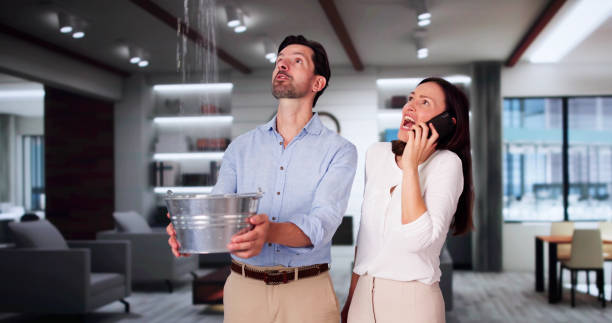  Bellevue, WI Water damage restoration Pros