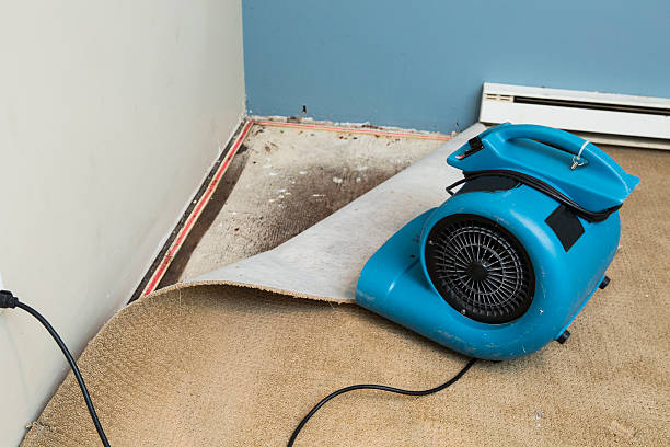 Best Water damage restoration experts  in Bellevue, WI