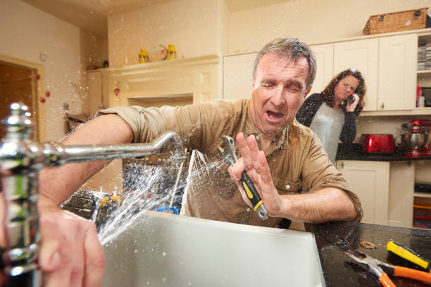 Best Basement water damage restoration  in Bellevue, WI
